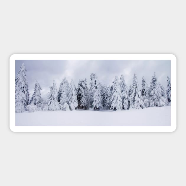 snowy fir Sticker by 1STunningArt